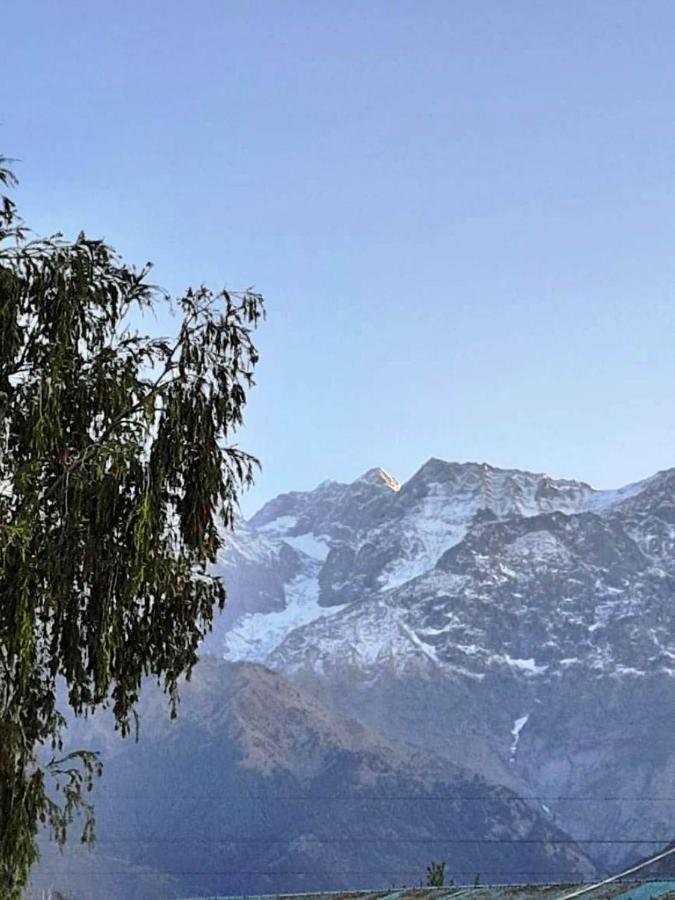 Pops Resort Palampur Luaran gambar